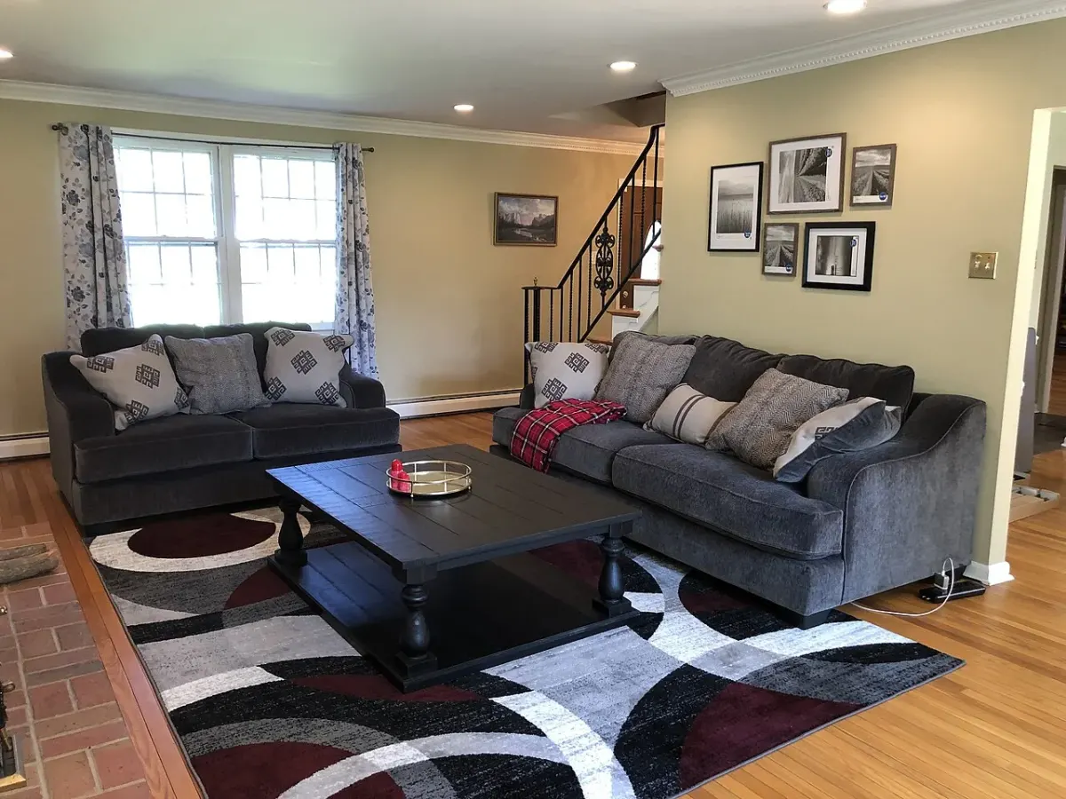 Large living room rug, 5 x 8 ft, photo 1