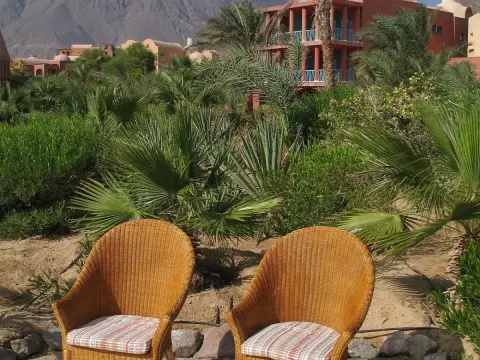 Outdoor garden chairs, set of 4